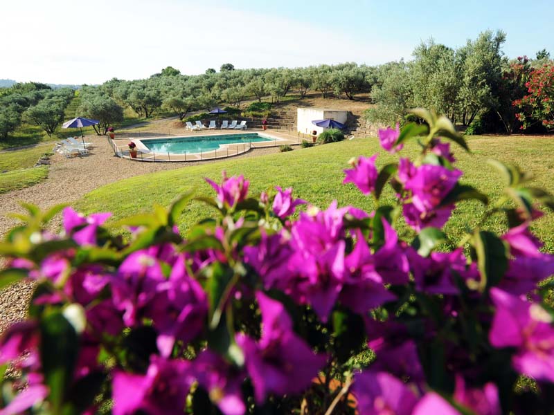 Hameau Montplaisir_34500 BEZIERS_9